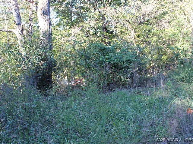 Land for sale in Stover, Missouri