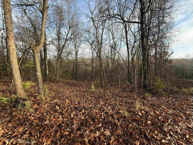 Land for sale in Ark