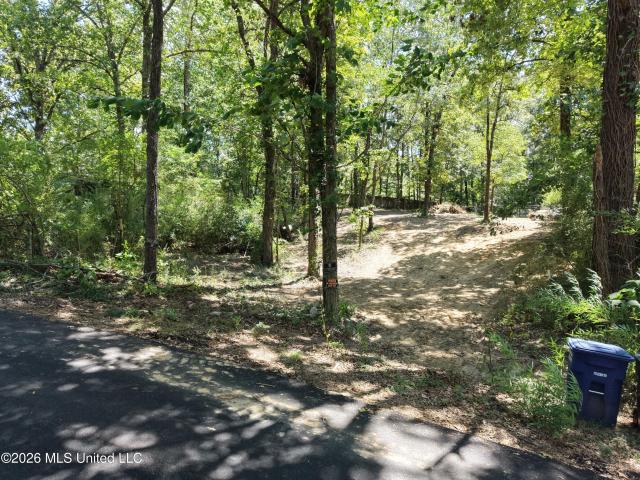Land for sale in Mississippi