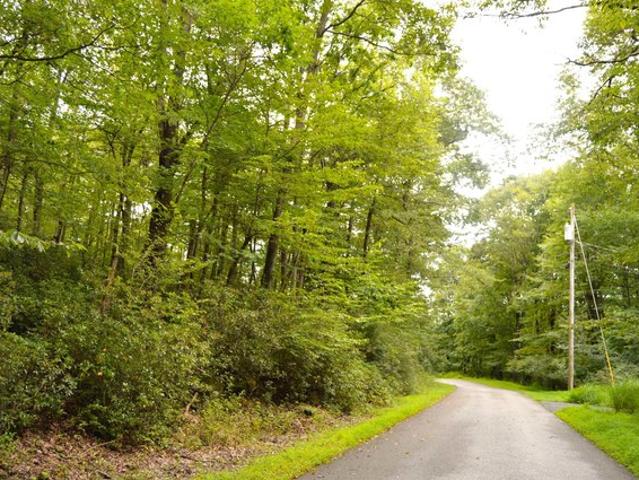 Land for sale in Terra Alta, West Virginia