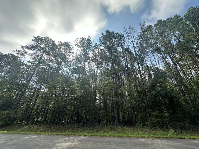 Land for sale in Parksville, South Carolina