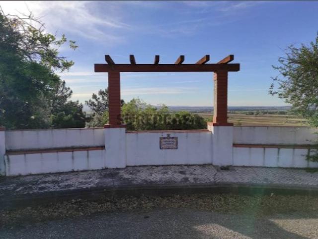 Terreno venda em Chamusca e Pinheiro Grande, Chamusca