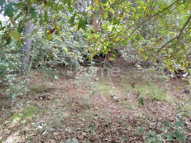 Terreno venda em Tondela, Viseu