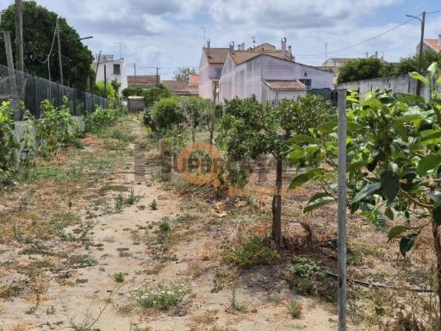 Terreno venda em Almeirim, Cortiçóis Terreno venda em Almeirim, Cortiçóis
