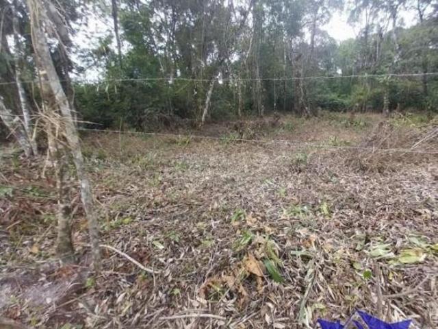 Terreno venda em Região Geográfica Imediata de Paranaguá, Guaratuba