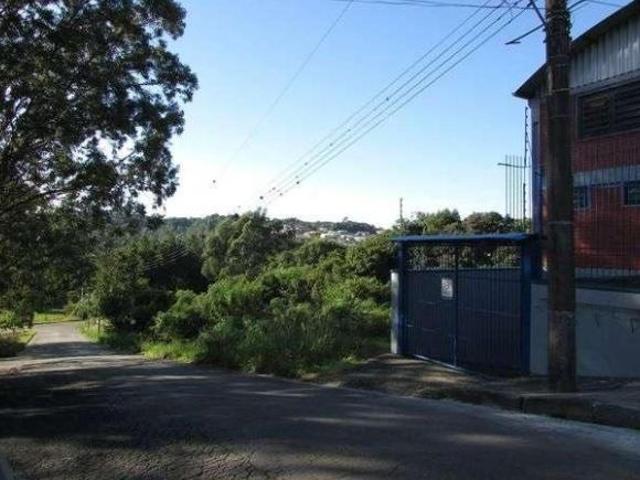 Terreno venda em Região Geográfica Imediata de Caxias do Sul, Caxias do Sul