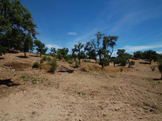 Terreno venda em São Brás De Alportel, Faro
