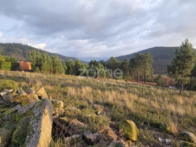 Terreno venda em Mondim De Basto, Vila Real