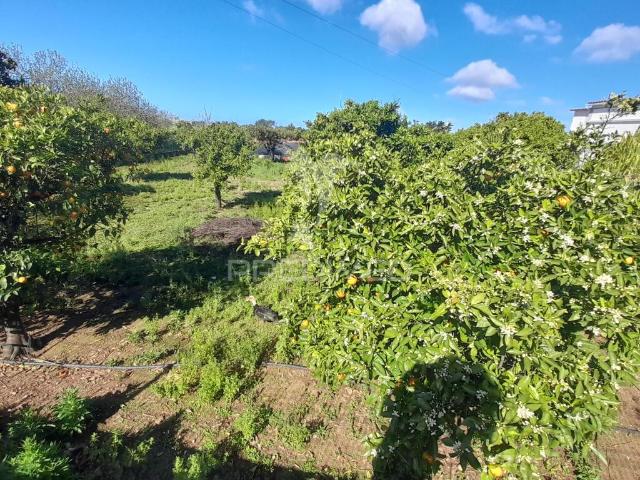 Terreno venda em Faro