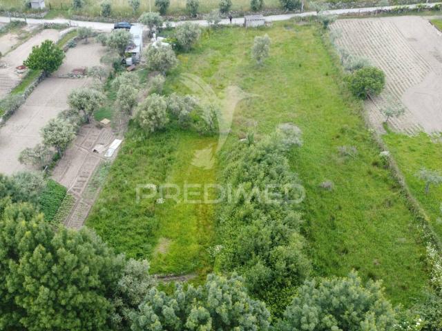 Terreno venda em Guarda, Celorico Da Beira