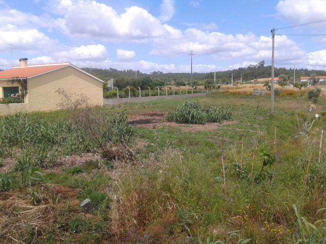 Terreno venda em Asseiceira, Tomar