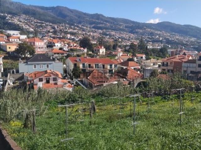 Terreno venda em Funchal, Ilha Da Madeira
