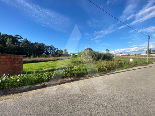 Terreno venda em Fermentelos, Águeda
