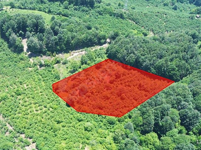 Düzce Merkez, Düzce içerisinde satılık Arsa
