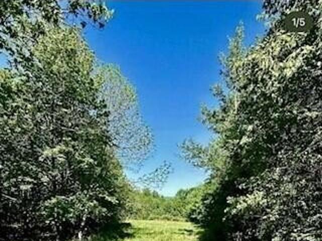 Land for sale in Holden