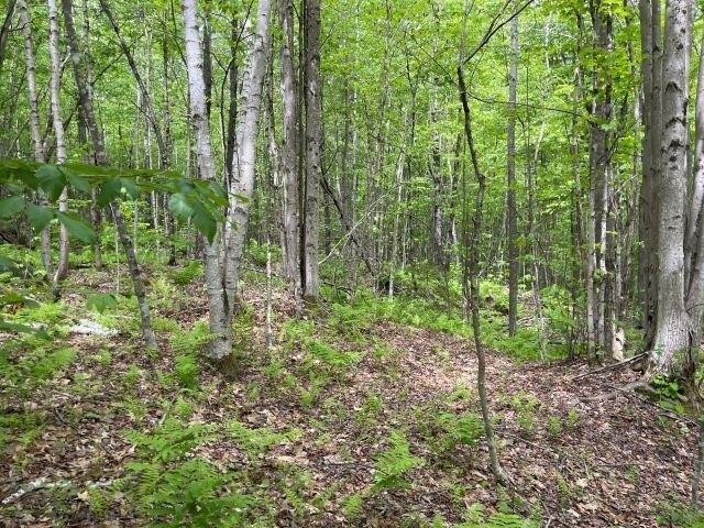 Land for sale in New Hampshire