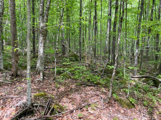 Land for sale in New Hampshire