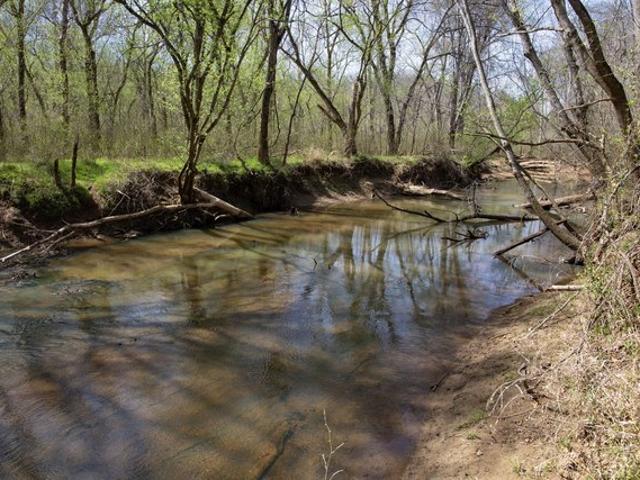 Land for sale in Milton, North Carolina