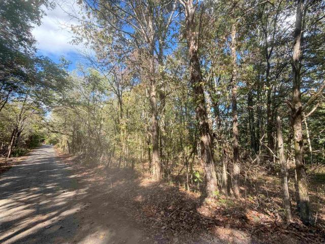 Land for sale in Clifton, Middle Tennessee