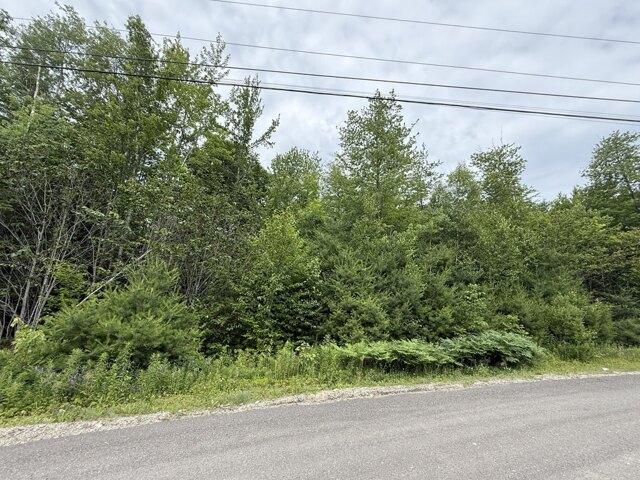 Land for sale in Ellsworth, Hancock County