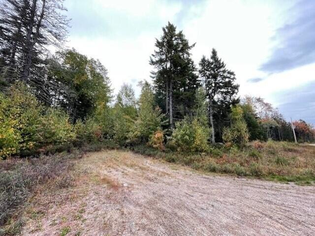 Land for sale in Steuben, Maine