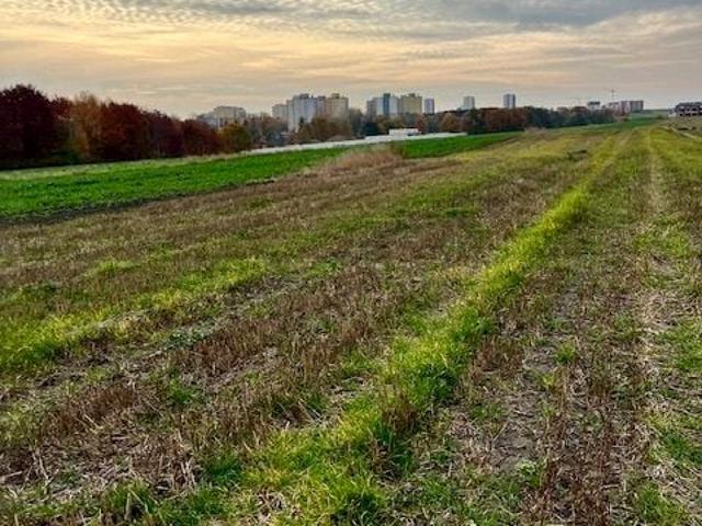 Grunt na sprzedaż w Gliwice, Śląskie