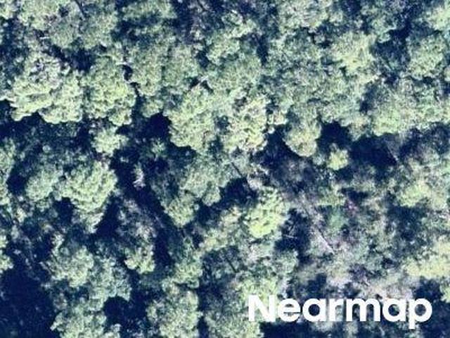 Land for sale in Florida