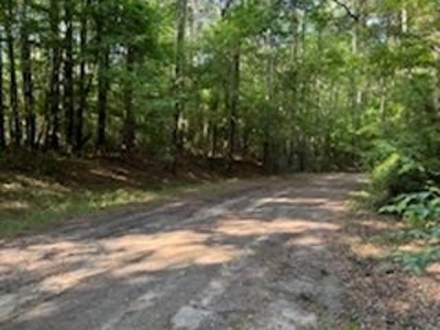 Land for sale in Hemphill, Texas