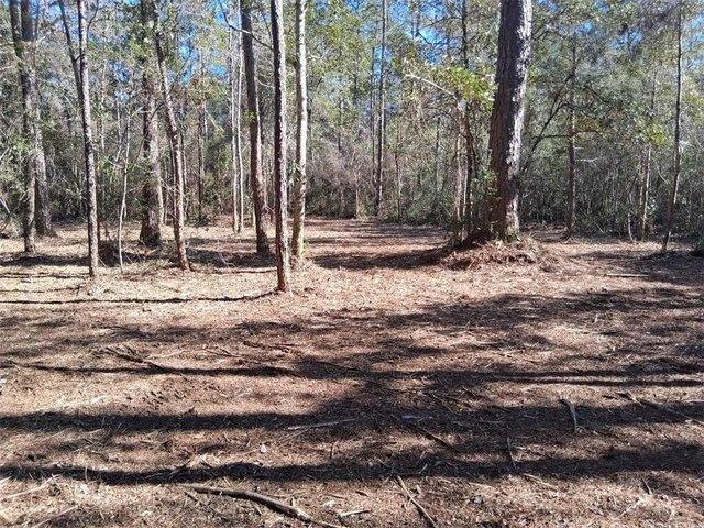 Land for sale in Mobile, Alabama