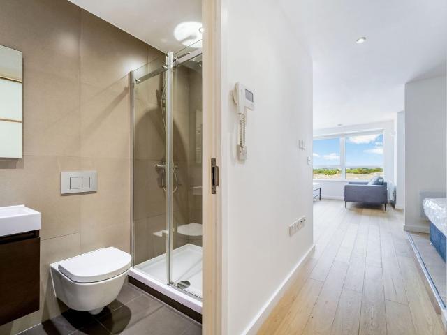 Studio for rent in Lower Halliford, Surrey