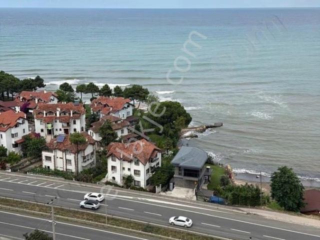 Ordu içerisinde satılık mülk