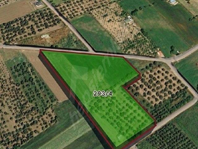 Ayvalik, Balikesir içerisinde satılık Arsa