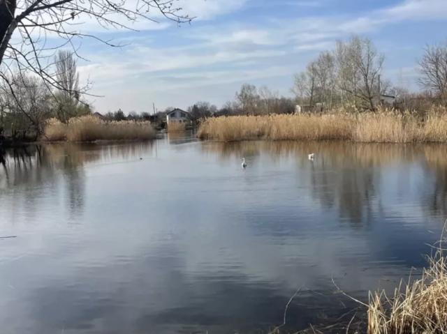 Дом продажа в Подгородном, Тернопольской области