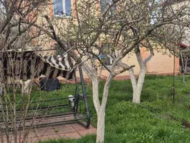 Дом аренда в Славутиче, Винницкой области