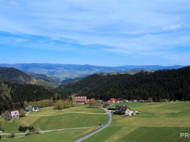 Dom na sprzedaż w Piwniczna-zdrój, Małopolskie