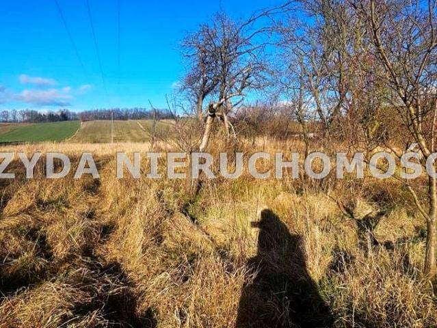 Dom na sprzedaż w Świdnica, Dolnośląskie