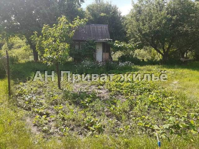 Дом продажа в Полтавской области