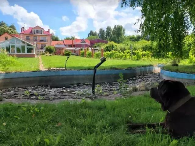 Дом продажа в Подгородном, Тернопольской области