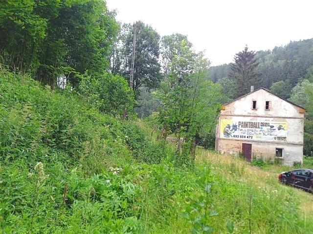 Dom na sprzedaż w Walim, Dolnośląskie