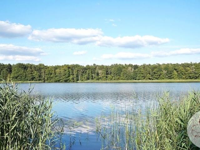 Dom na sprzedaż w Dymaczewo Nowe, Wielkopolskie