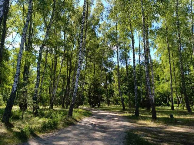 Дом продажа в Черновицкой области