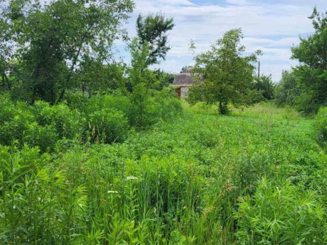 Дом аренда в Луцке