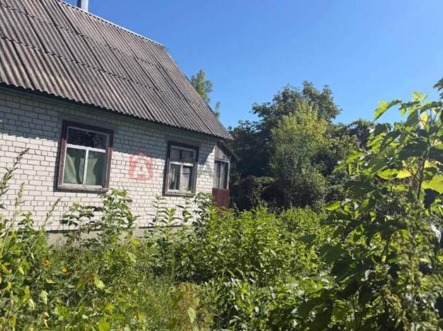 Дом продажа в Мошнах