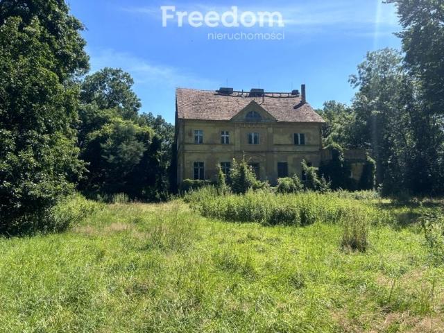 Dom na sprzedaż w Drzązgowo, Wielkopolskie