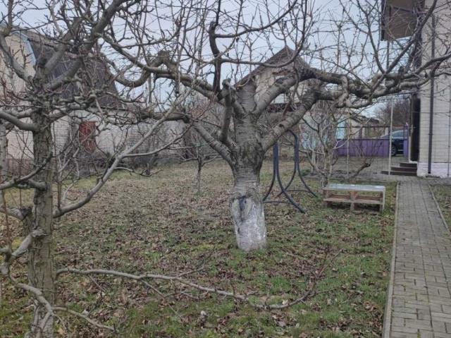 Дом аренда в Запорожской области