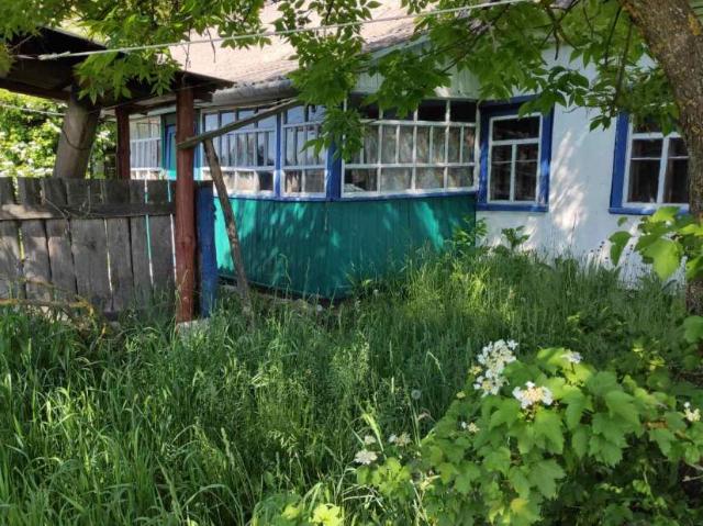 Дом продажа в Житомирской области