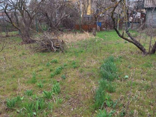 Дом продажа в Лимане, Днепропетровской области