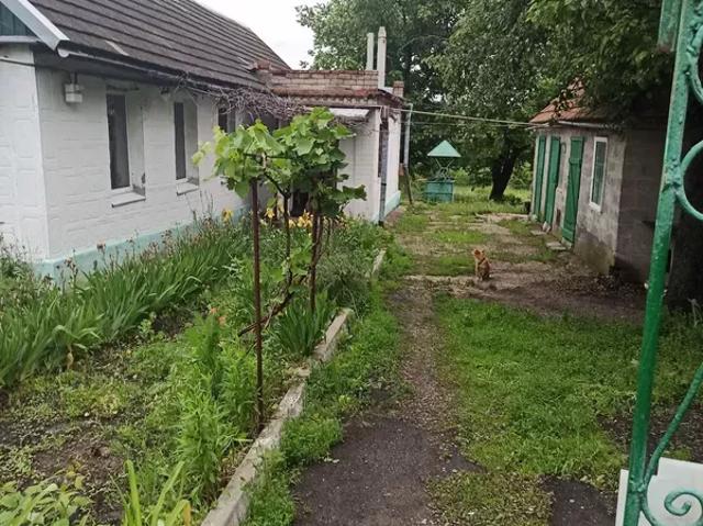Дом продажа в Сурско-Литовском, Тернопольской области