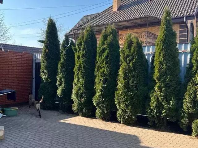 Дом продажа в Винницкой области
