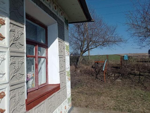 Дом продажа в Райковцах